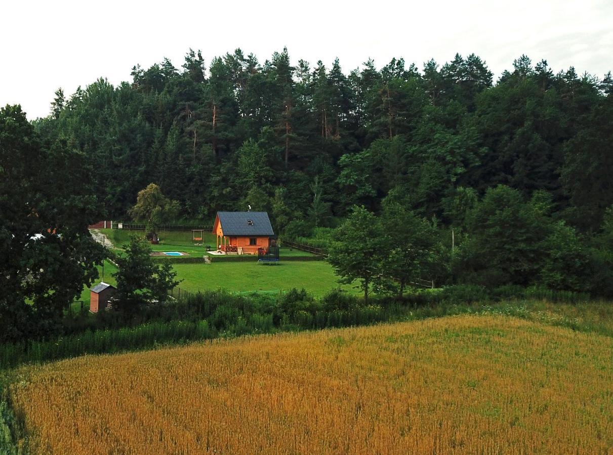 Domek Skowronek Z Basenem Lesko Buitenkant foto