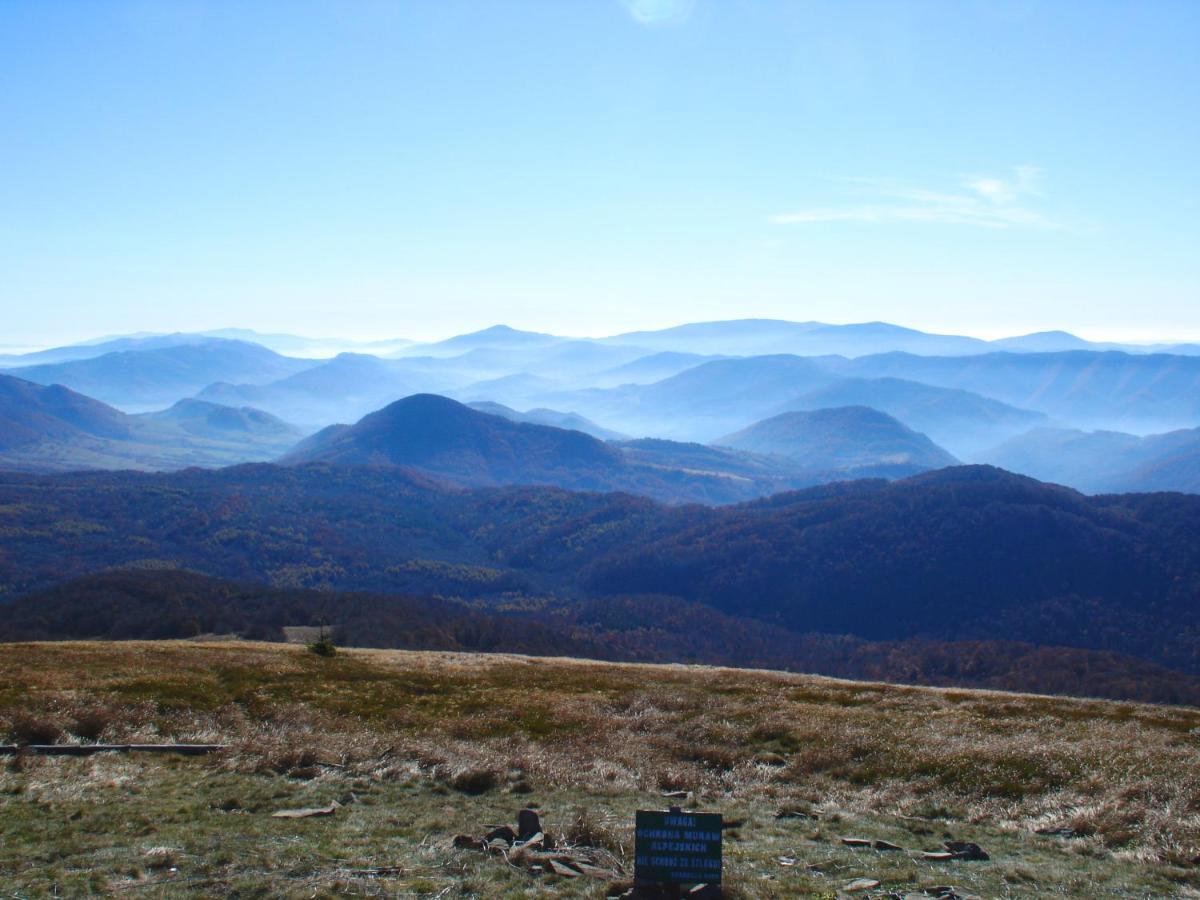 Domek Skowronek Z Basenem Lesko Buitenkant foto