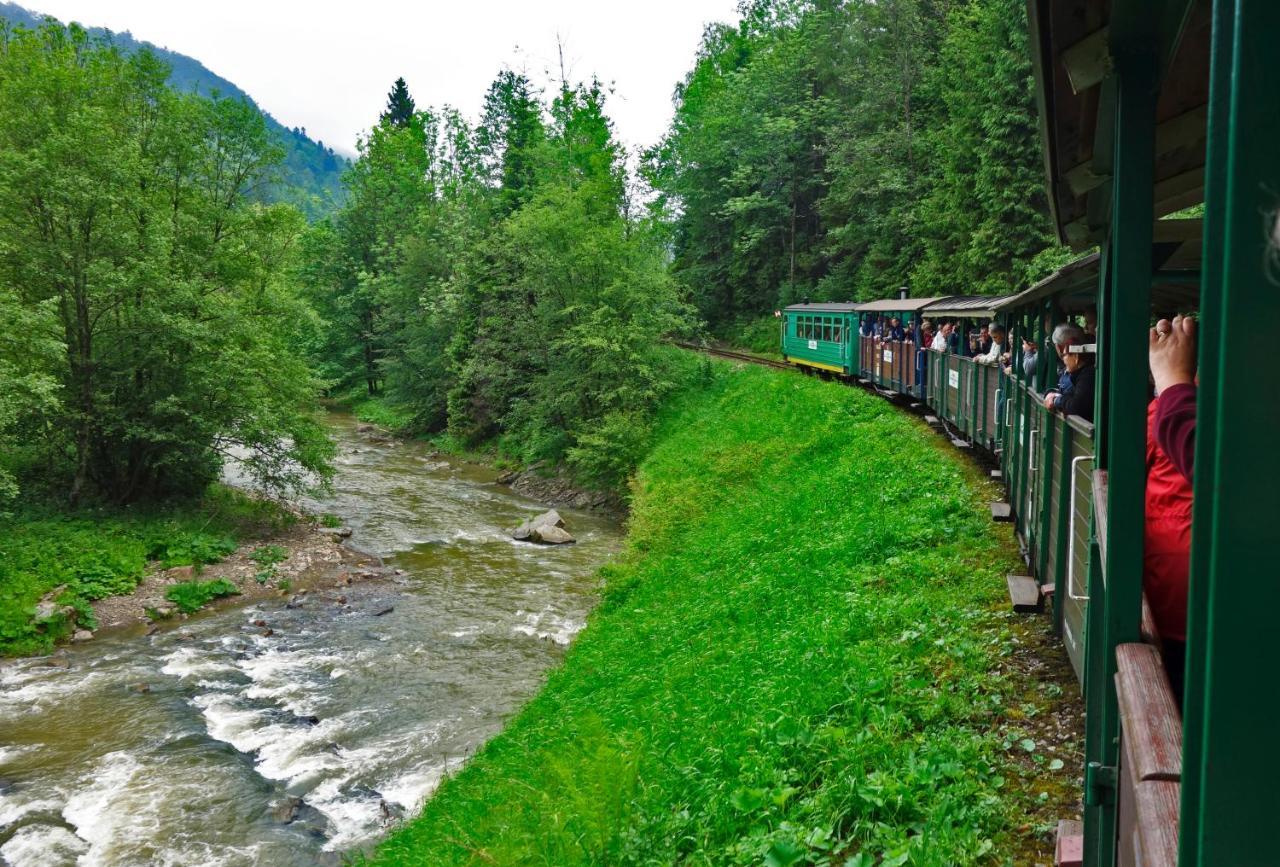 Domek Skowronek Z Basenem Lesko Buitenkant foto